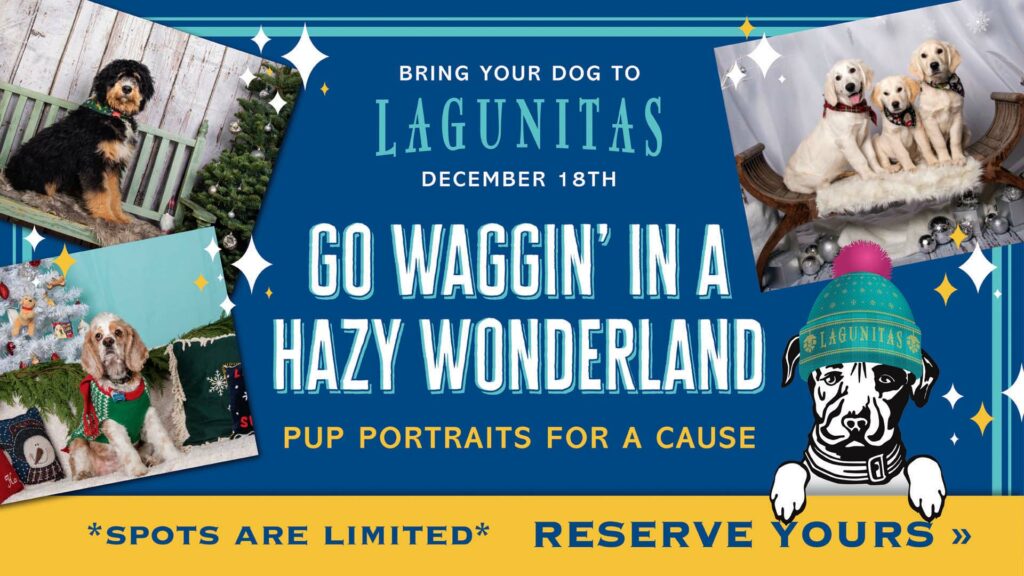 Lagunitas Brewing Company Pup Portraits for a Cause Hazy Wonderland