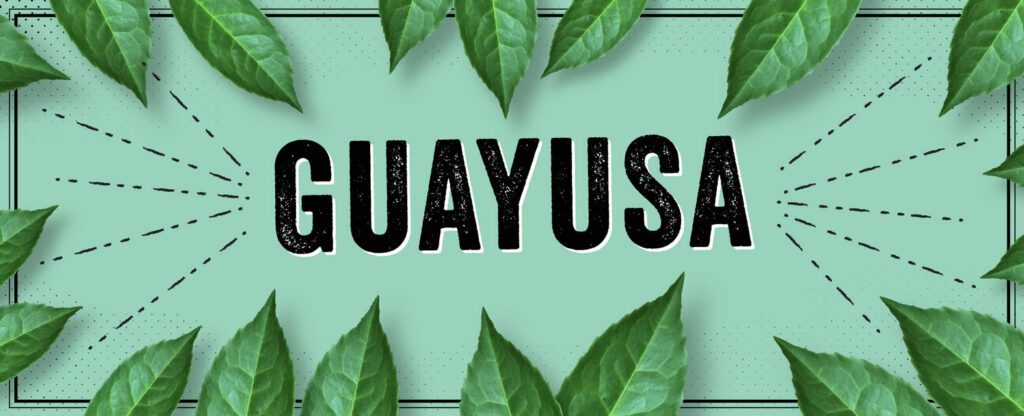 Lagunitas Guayusa Tea