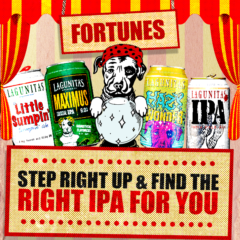Find the IPA For You