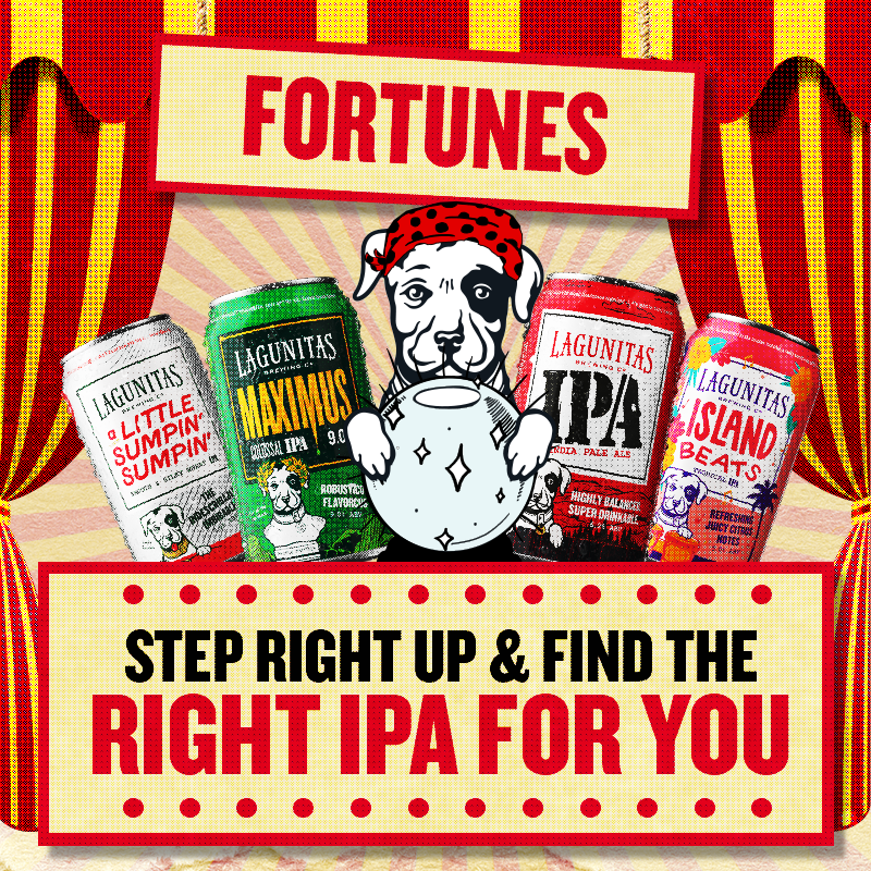 Find the IPA For You